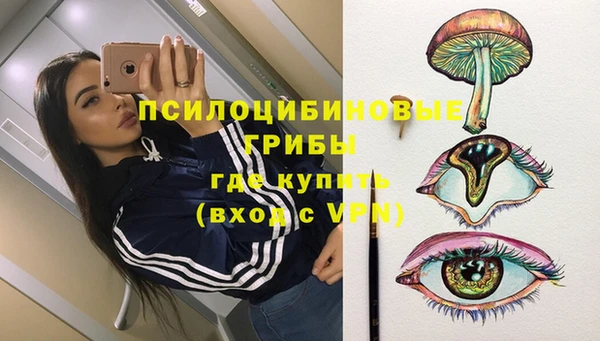 прущий лед Аркадак