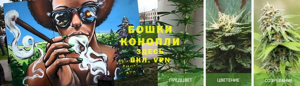 прущий лед Аркадак