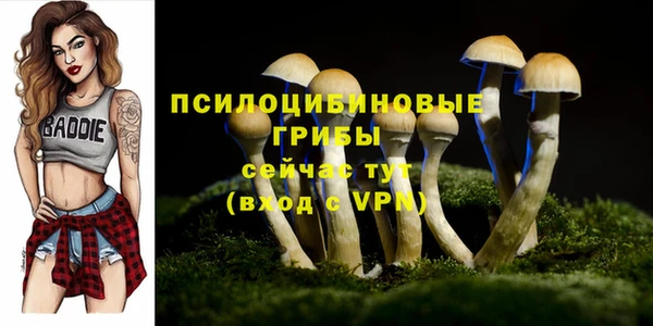 прущий лед Аркадак