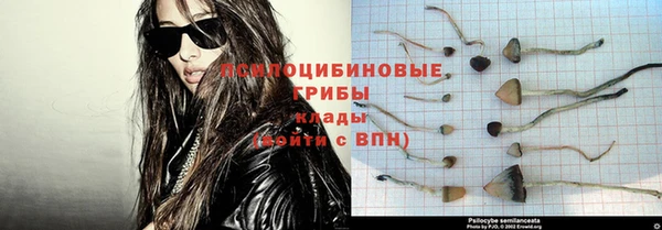 прущий лед Аркадак