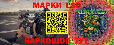 стафф Коммунар