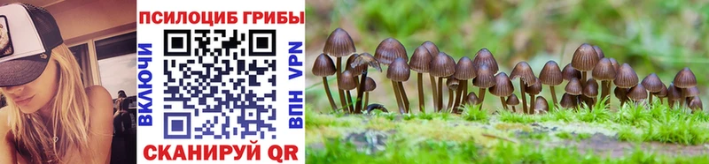 Псилоцибиновые грибы Magic Shrooms  сколько стоит  Ступино 