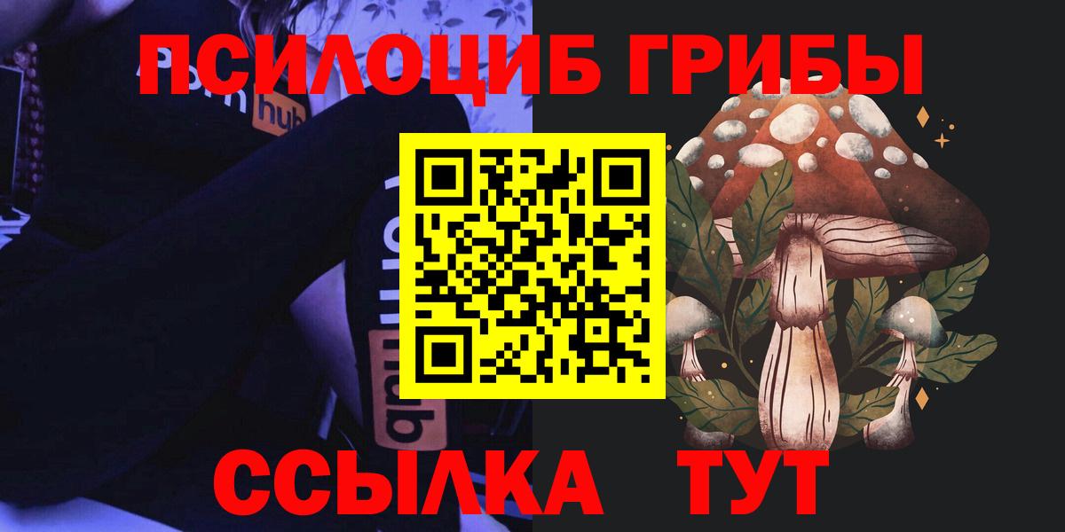 Псилоцибиновые грибы Cubensis Ступино
